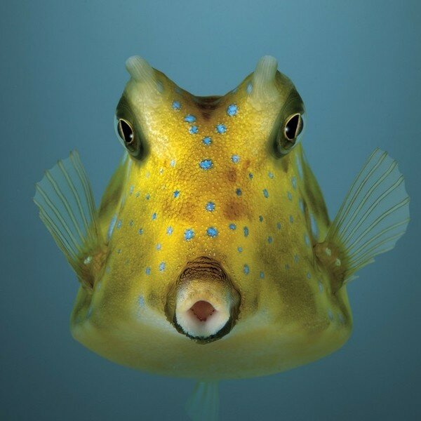 aquarium-saint-malo